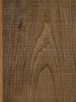 Дуб мореный