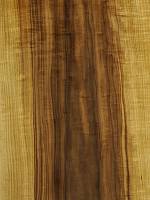 Грисард мореный