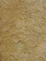 Мирт корень