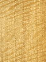 Мовингу FRISSE