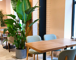 Кафе Чайка19