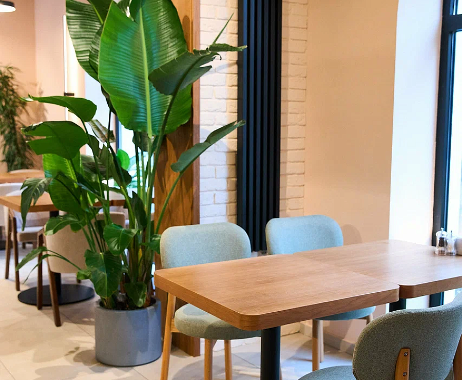 Кафе Чайка19