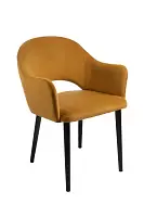 картинка Полукресло Аскар Полукресла от производителя ТЕХНОбар