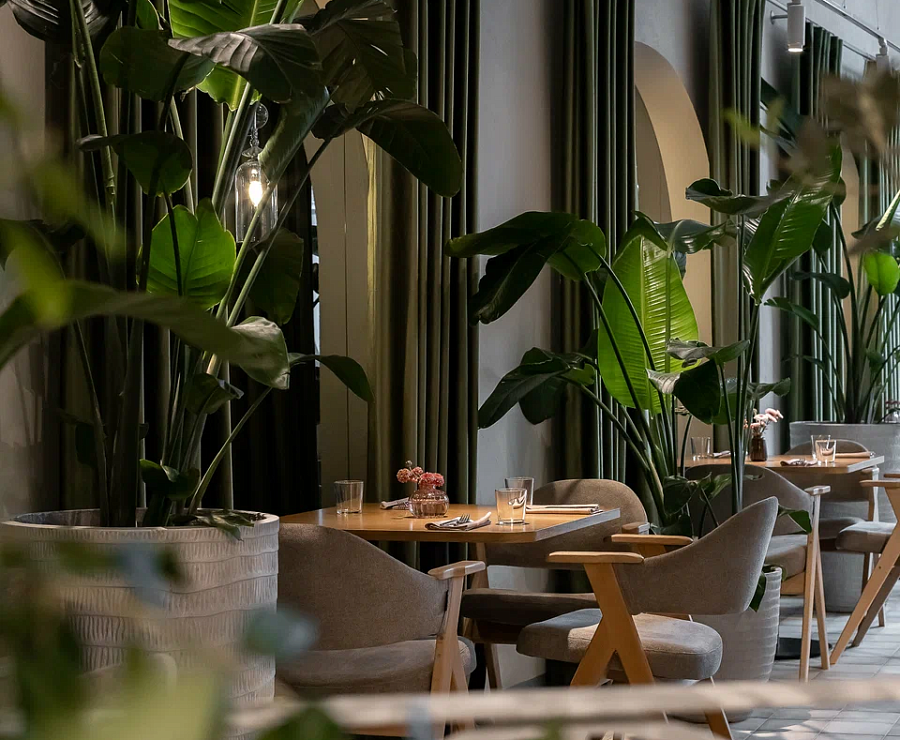 Ресторан Лямитье9