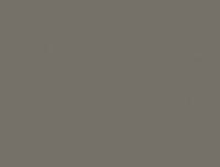 19-F-0755 warm grey dark