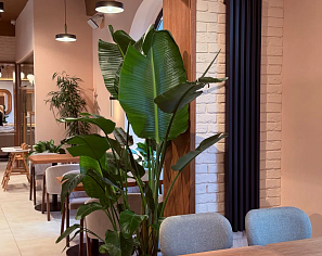 Кафе Чайка20