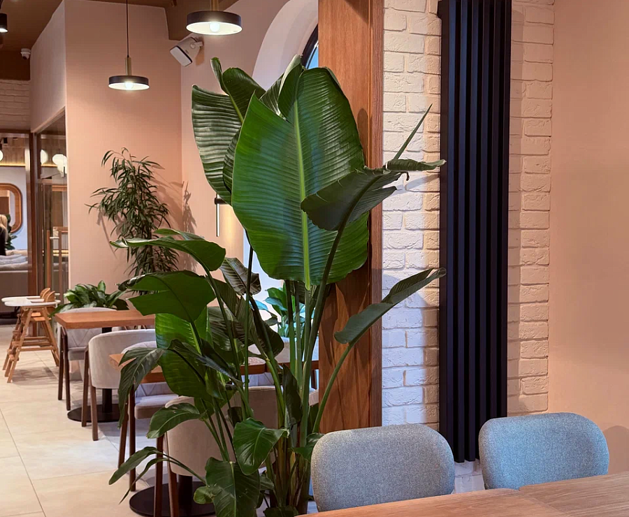 Кафе Чайка20