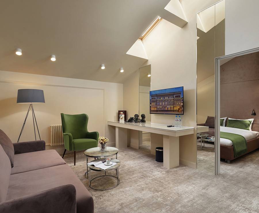 Гостиница Пушкин (номера Делюкс)13