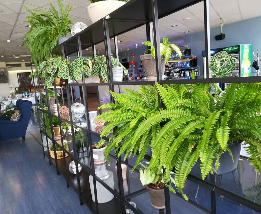 Ресторан Пятый Океан в Шереметьево28