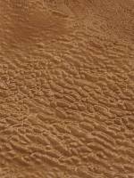 Сапеле помеле