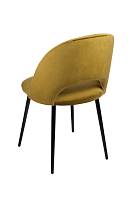 картинка Стул Ньютон Стулья и полукресла от производителя ТЕХНОбар