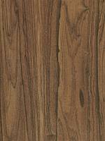 Лауро прето