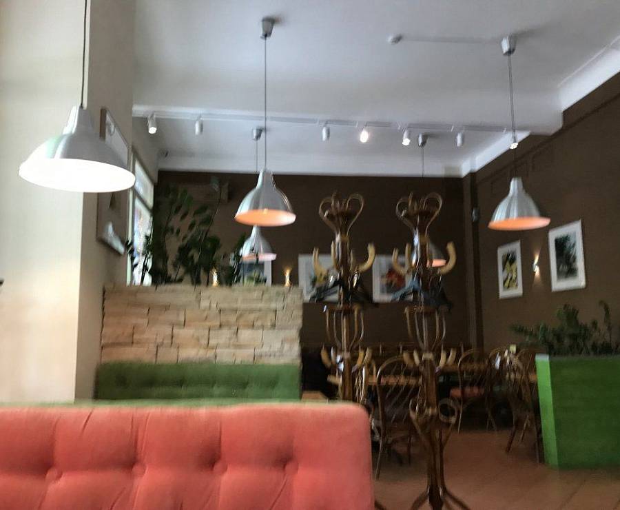 Вегетарианское кафе Авокадо31