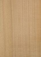 Анегри (радиальный)