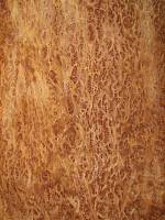 Вавона корень