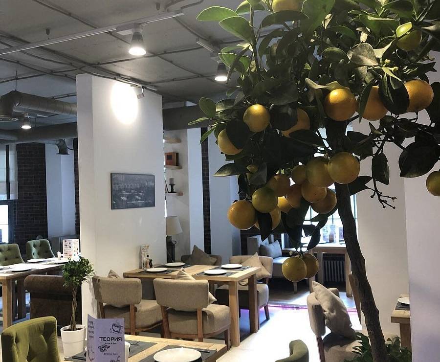 Теория Бар10