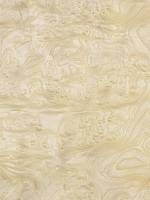 Ясень белый корень