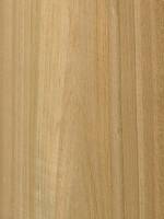 Эвкалипт (тангенциальный)