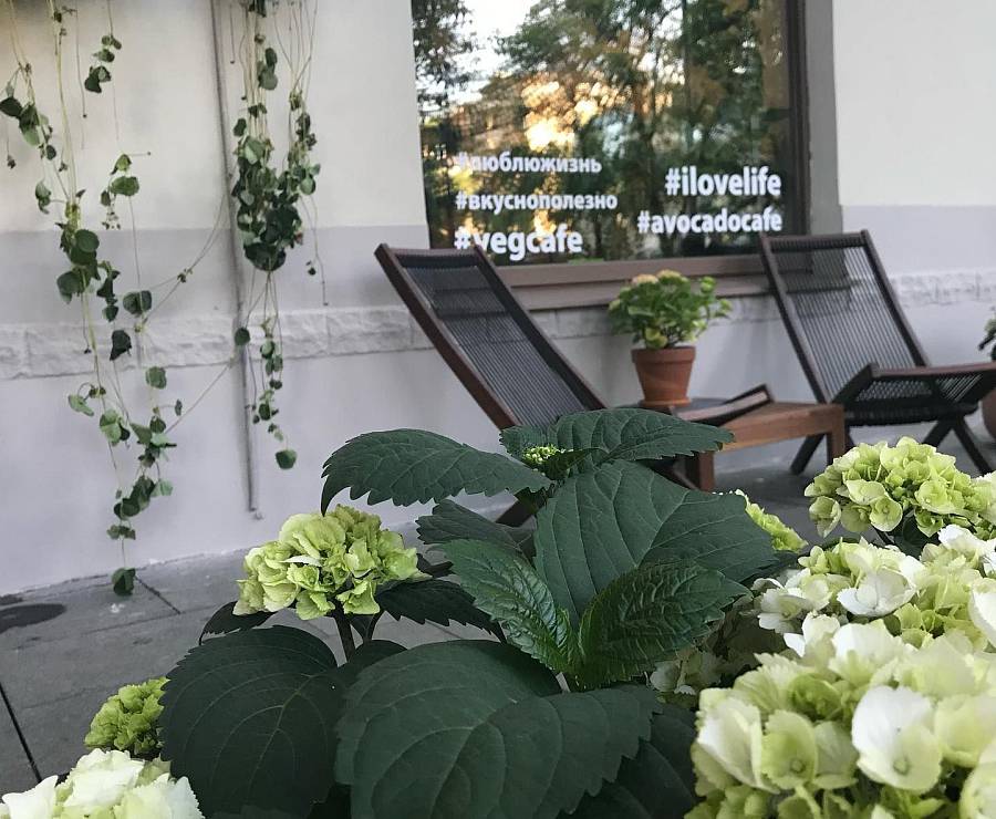 Вегетарианское кафе Авокадо71