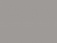 19-F-9855 BASALT GREY