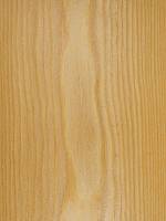 Лиственница