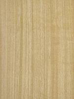 Эвкалипт (радиальный)