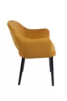 картинка Полукресло Аскар Полукресла от производителя ТЕХНОбар