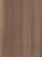 Орех американский (радиальный)