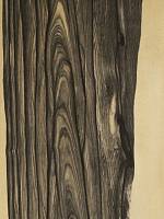 Эбен лунный (белый)