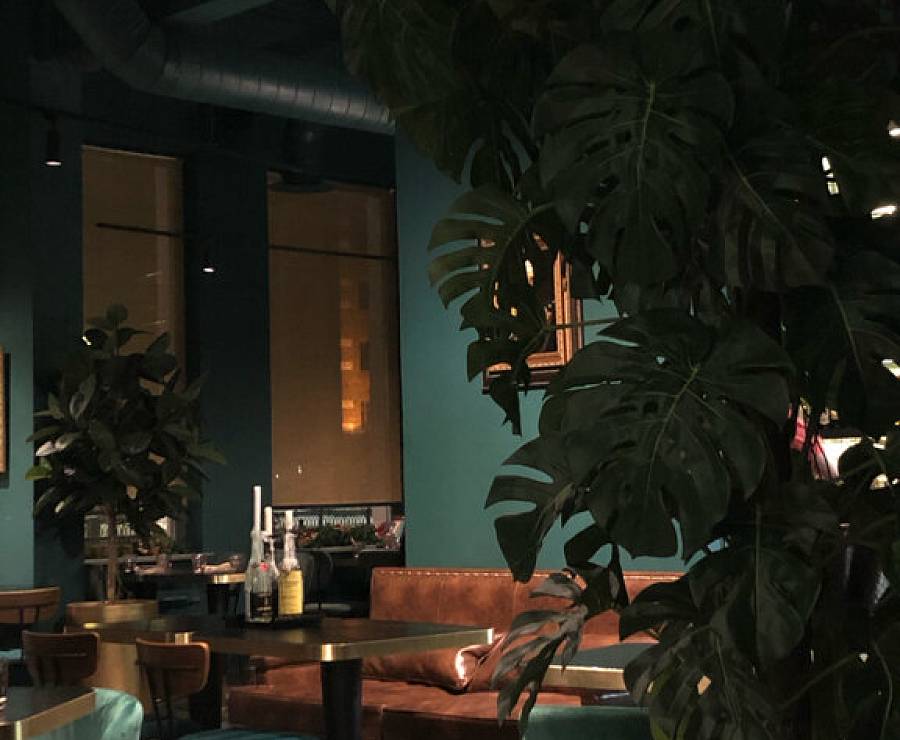 Ресторан Хуго18