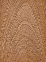 Сапели (тангенциальный)