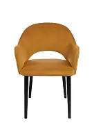 картинка Полукресло Аскар Полукресла от производителя ТЕХНОбар