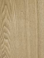 Ясень дальневосточный