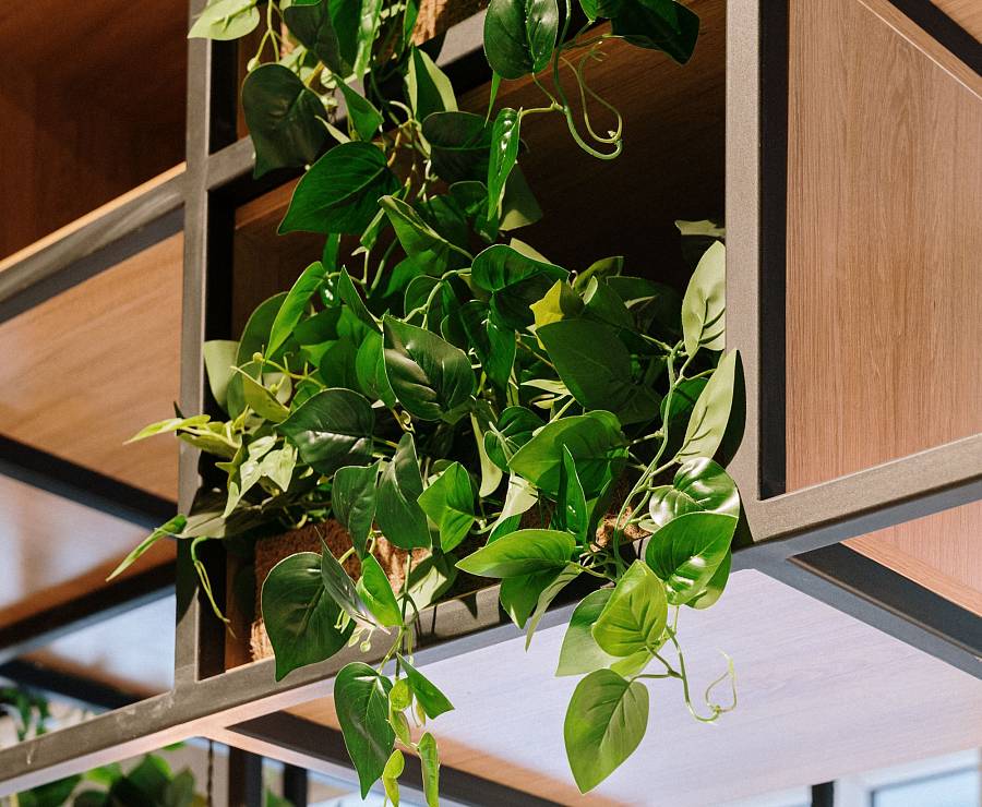 Корпоративное кафе в НИИ Парашютостроения20