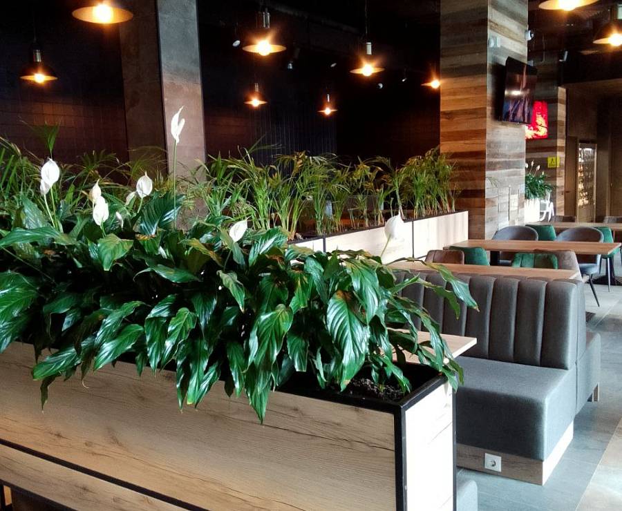 Ресторан ГастроПаб3