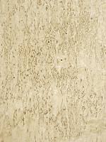 Береза карельская