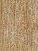 Эвкалипт frisse