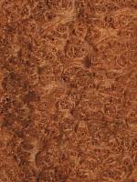 Амбойна корень