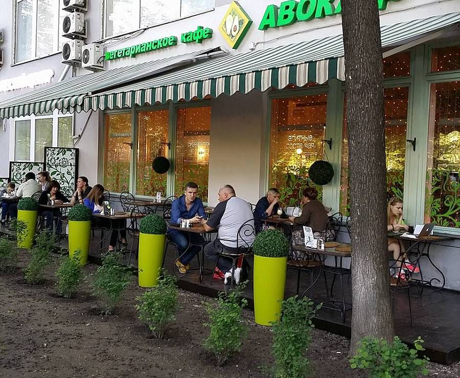 Вегетарианское кафе Авокадо54