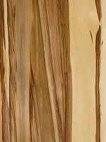 Орех сатиновый