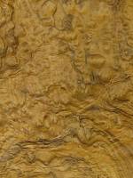 Имбайя корень