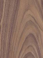 Орех американский (тангенциальный)