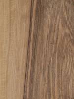 Орех европейский colored